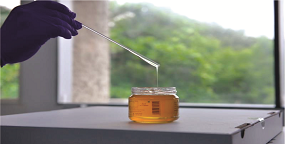 Honey Testing