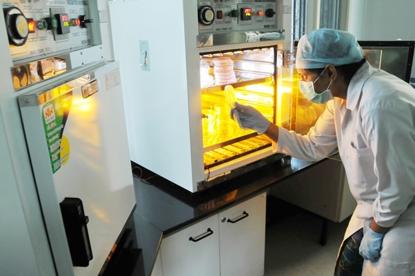 A view of microbiological Analysis