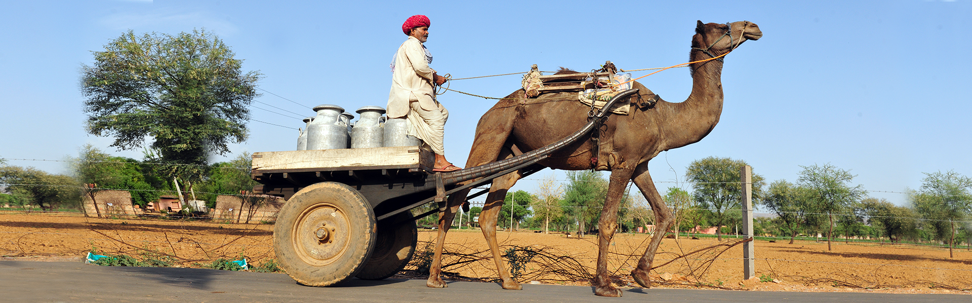 Are Cattle rearers considered as farmers by Govt of India? -